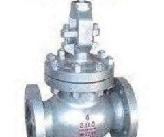 GLOBE VALVES SUPPLIERS IN KOLKATA - 1/1