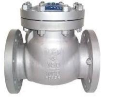NON RETURN ( NRV ) VALVES IN KOLKATA - 1/1