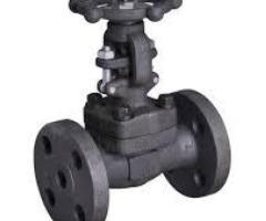 STEAM VALVES SUPPLIERS IN KOLKATA - 1/1